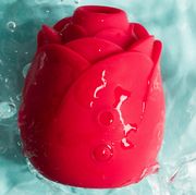 rose toy review