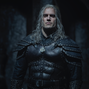 the witcher